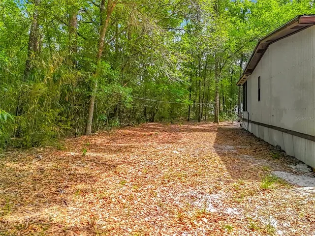 a view of backyard with green space