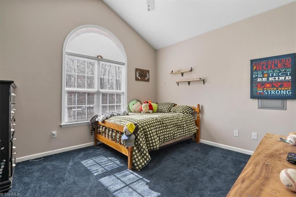 6993 Williams Country Road Staley, NC 27355 - Photo 27 of 42