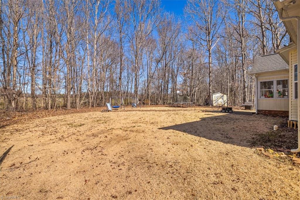 6993 Williams Country Road Staley, NC 27355 - Photo 41 of 42
