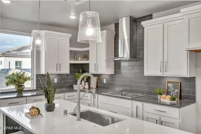 a kitchen with stainless steel appliances a sink a counter space cabinets and potted plant