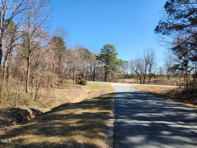 a view of yard with trees