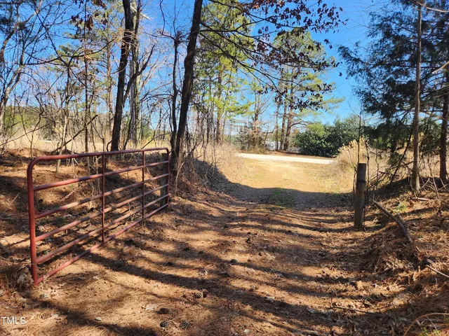 a view of a yard with a tree