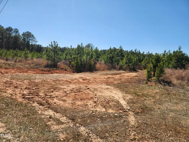 a view of dirt field with trees in background