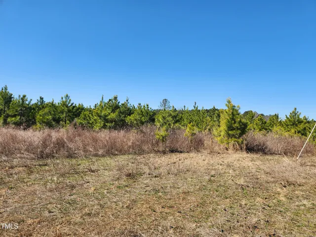 a view of a field with trees in background