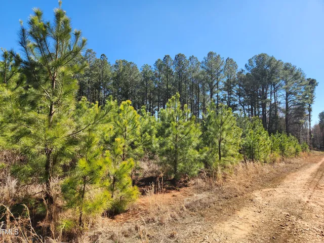 a view of a dry yard with trees