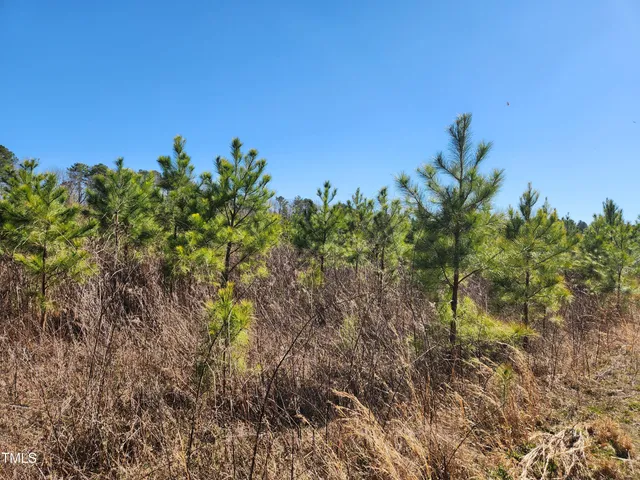 a view of a backyard of the house