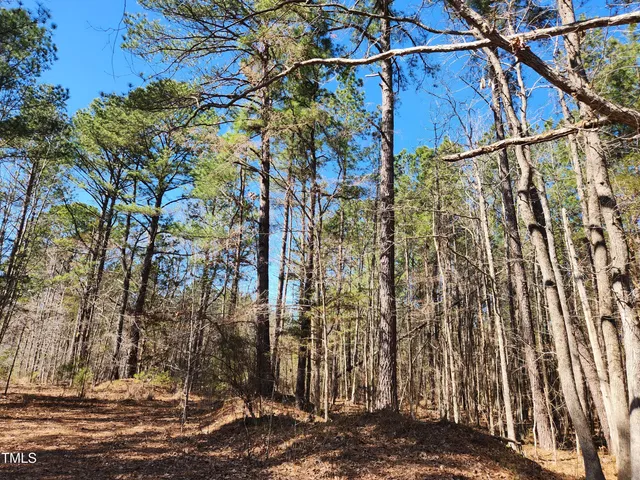 a big yard with lots of green space