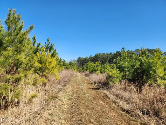 a view of a dry yard with wooden fence