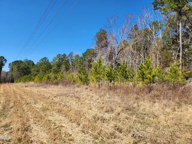 a view of a yard with a tree