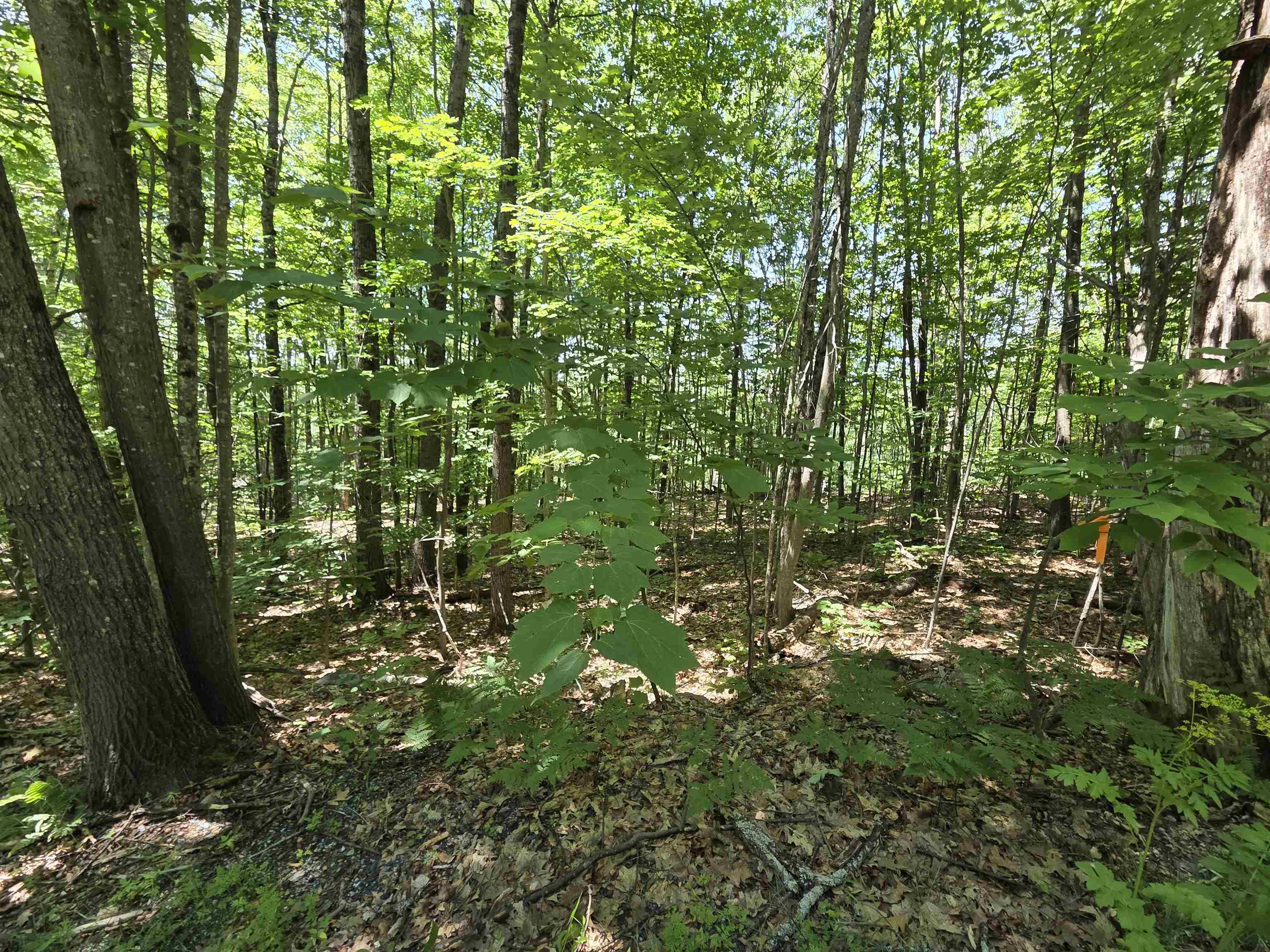 X Methodist Hill Road Enfield, NH 03748 - Photo 4 of 6