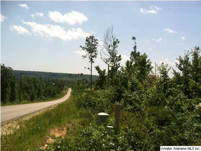 21 County Road, Unit 137 Ashville, AL 35953 - Photo 5 of 5