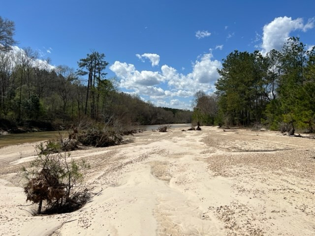 0 Walter Anderson Road Gloster, MS 39638 - Photo 18 of 35 Photo 18