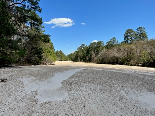 0 Walter Anderson Road Gloster, MS 39638 - Photo 19 of 35 Photo 19