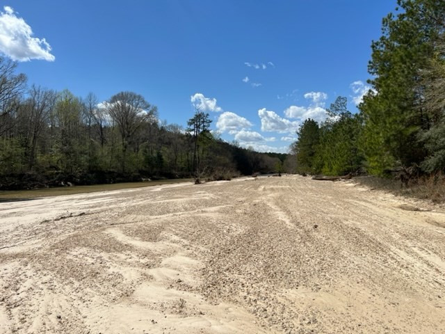 0 Walter Anderson Road Gloster, MS 39638 - Photo 21 of 35 Photo 21