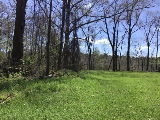 0 Walter Anderson Road Gloster, MS 39638 - Photo 25 of 35 Photo 25