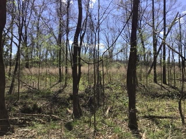 0 Walter Anderson Road Gloster, MS 39638 - Photo 27 of 35 Photo 27