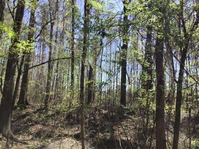 0 Walter Anderson Road Gloster, MS 39638 - Photo 29 of 35 Photo 29