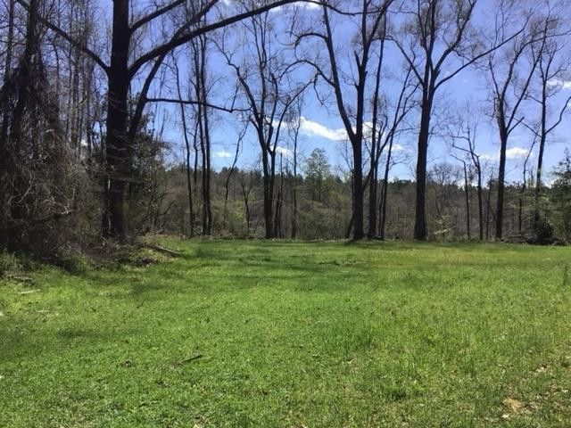 0 Walter Anderson Road Gloster, MS 39638 - Photo 3 of 35 Photo 3