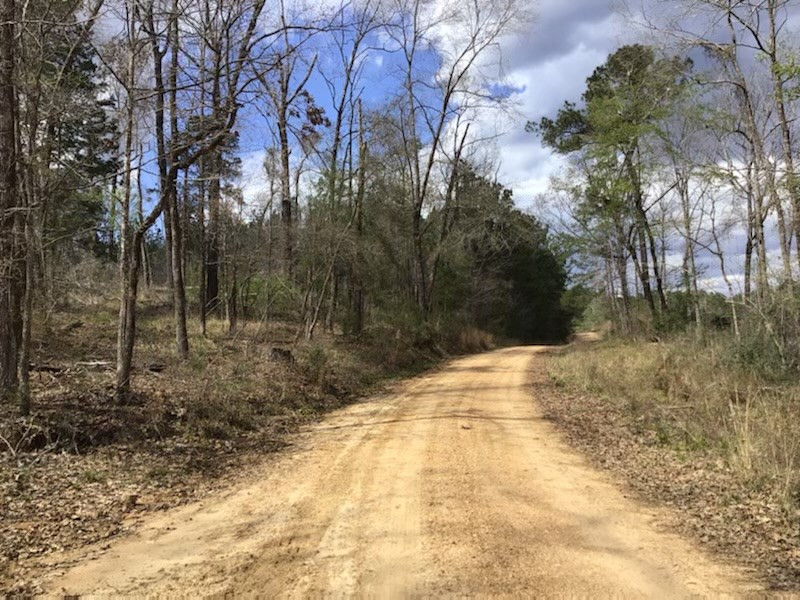0 Walter Anderson Road Gloster, MS 39638 - Photo 5 of 35 Photo 5