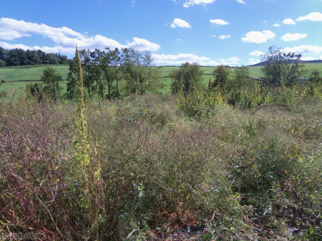 Tbd Spring Dale Road Southwest Floyd, VA 24091 - Photo 7 of 44 Gallery Image 7