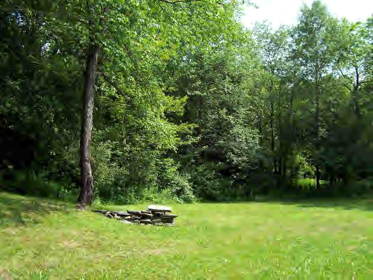 47 Access Windsor, MA 01270 - Photo 2 of 3 a backyard of a house with lots of green space