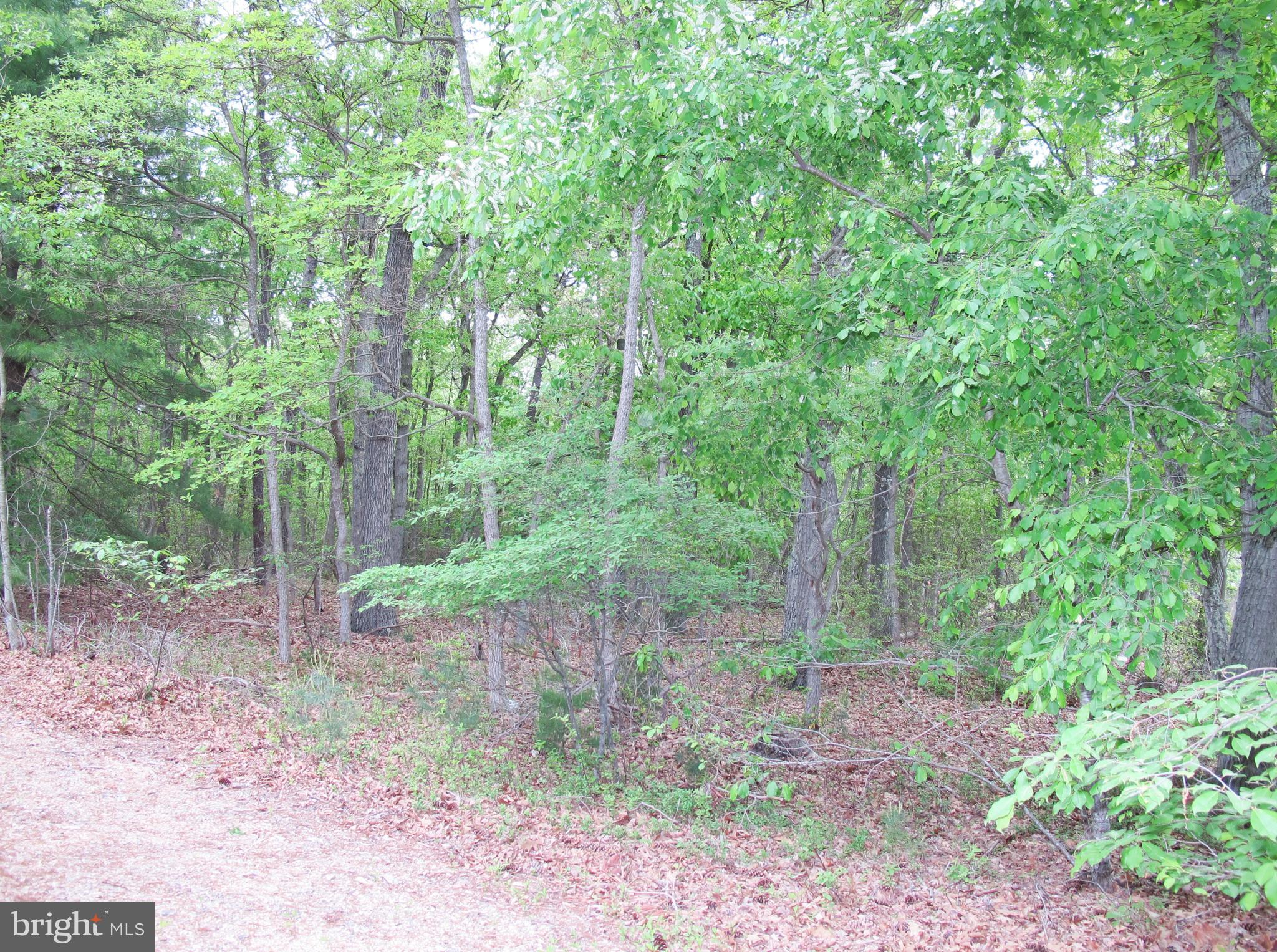 518 Fairview Road Medford, NJ 08055 - Photo 2 of 26 View