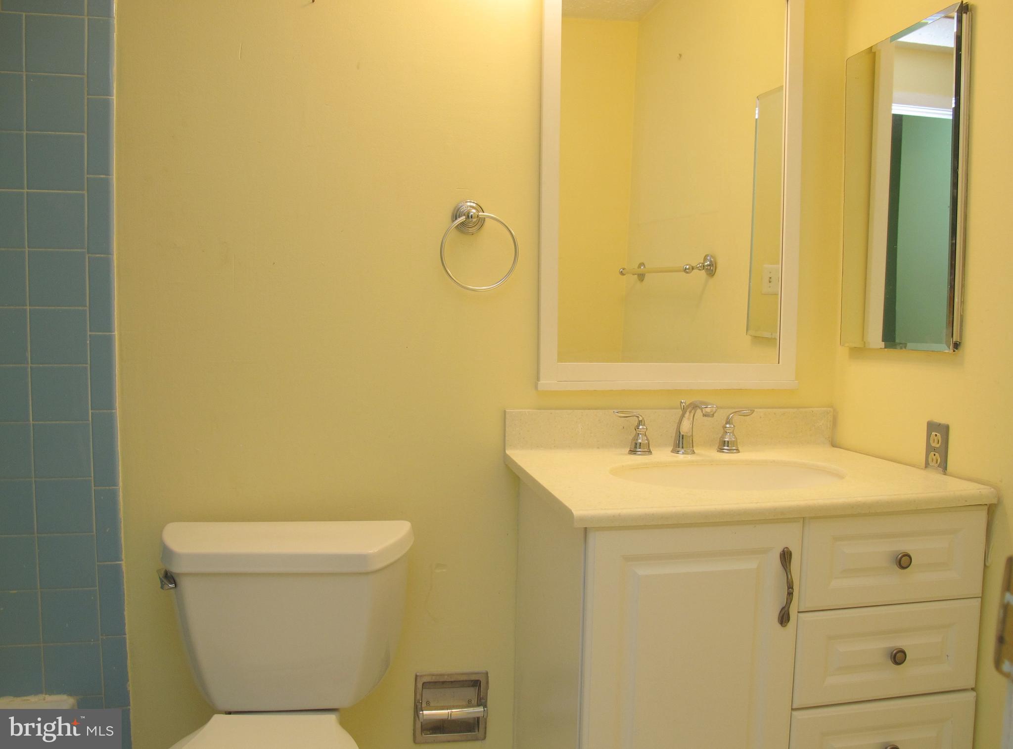 518 Fairview Road Medford, NJ 08055 - Photo 21 of 26 Main Bathroom