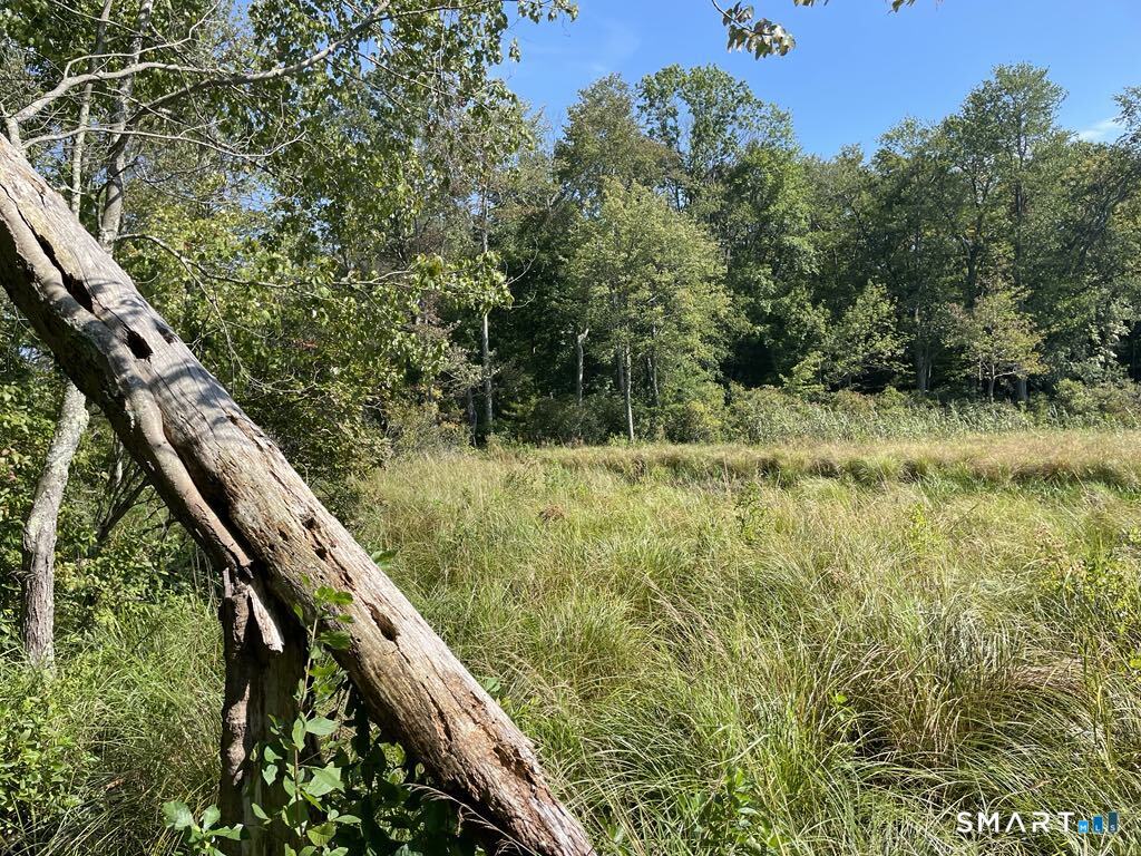 Kozey Road Eastford, CT 06242 - Photo 7 of 14