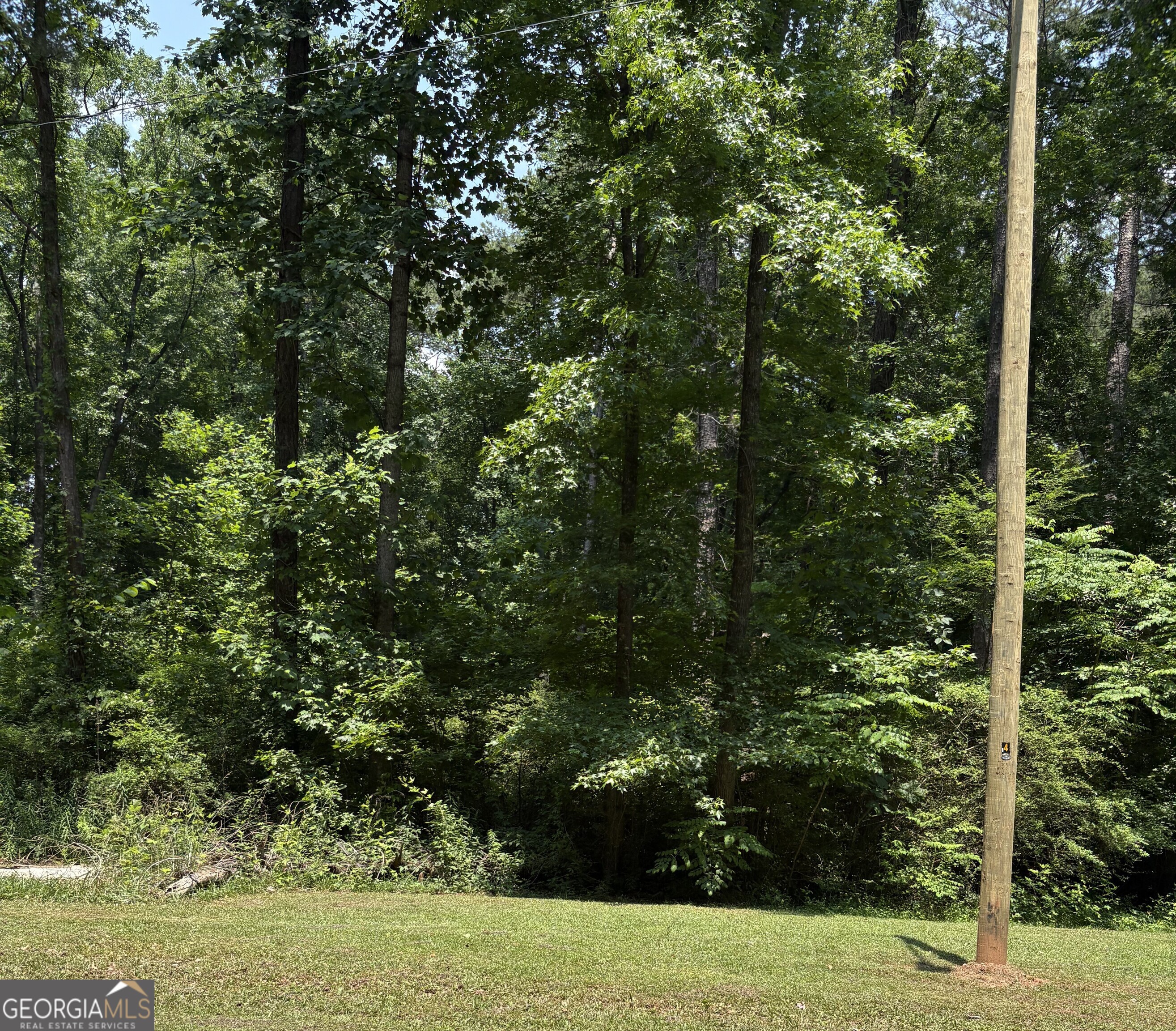 0 Shields Road Stockbridge, GA 30281 - Photo 3 of 5