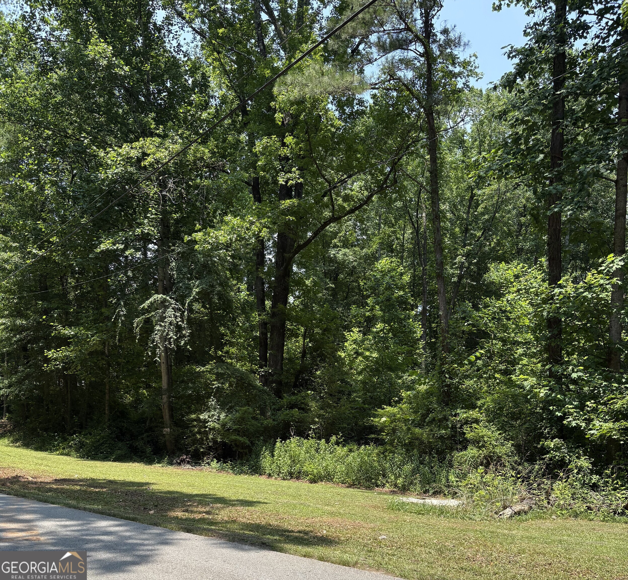 0 Shields Road Stockbridge, GA 30281 - Photo 4 of 5