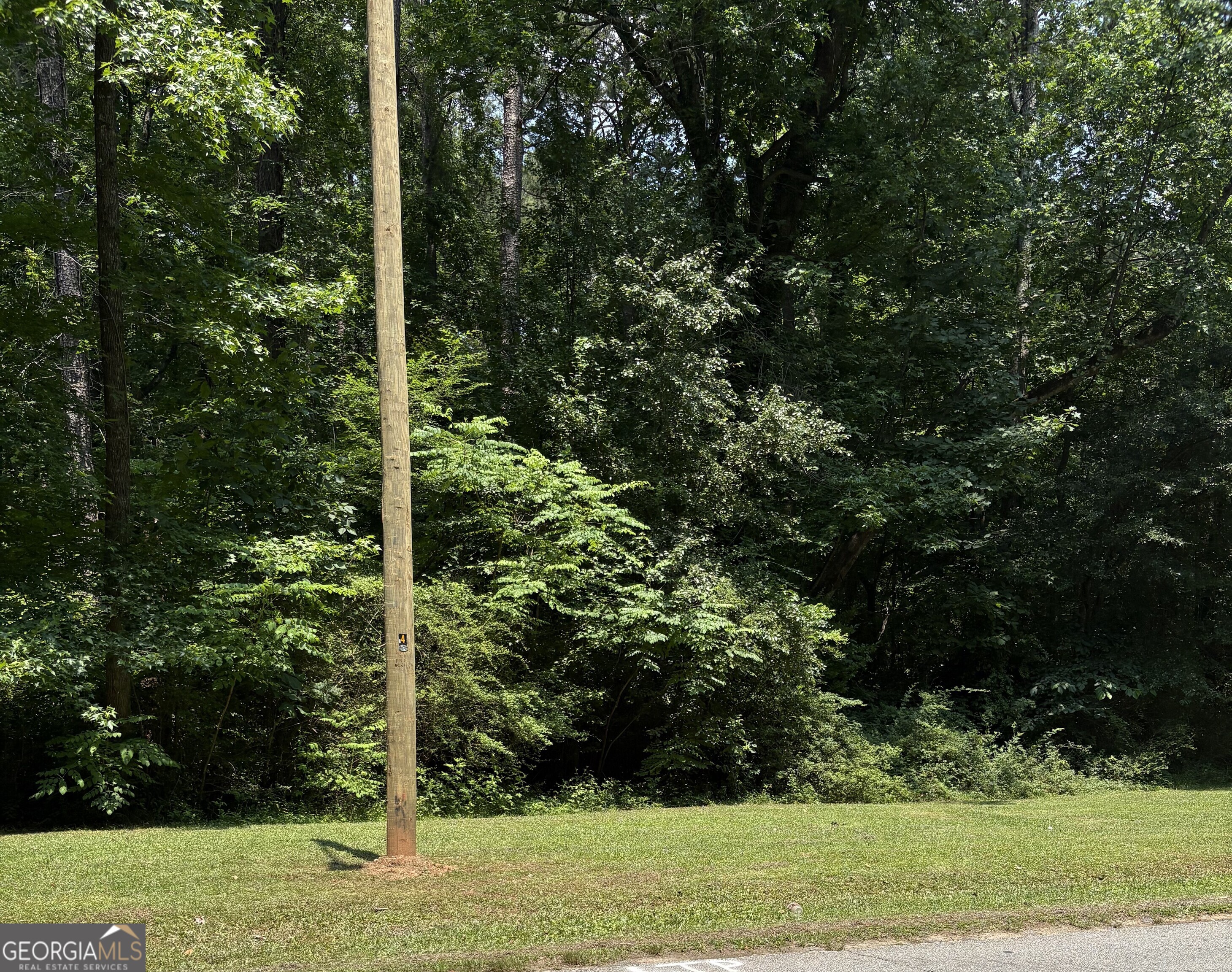 0 Shields Road Stockbridge, GA 30281 - Photo 5 of 5