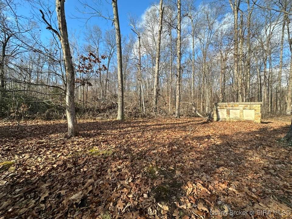 West Weir Road Scottsburg, IN 47170 - Photo 11 of 12 Gallery Image 11