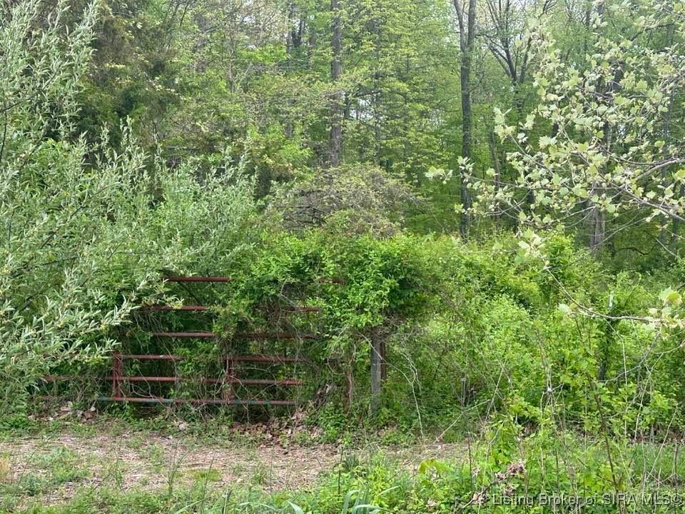 West Weir Road Scottsburg, IN 47170 - Photo 2 of 12 Gallery Image 2