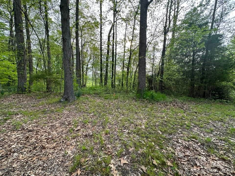 West Weir Road Scottsburg, IN 47170 - Photo 3 of 12 7.68*/- Wooded Acres!