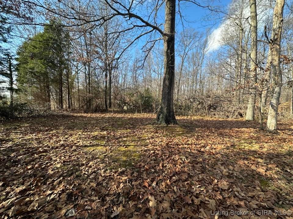 West Weir Road Scottsburg, IN 47170 - Photo 5 of 12 Great building site!!!