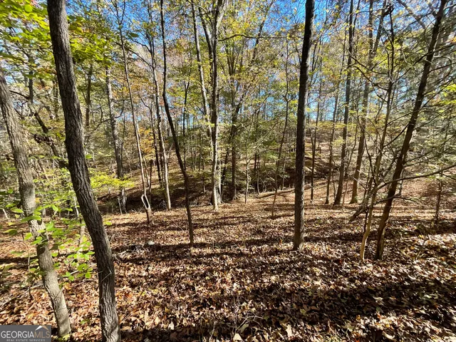 a view of an empty room with wooden walls