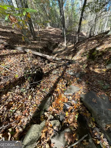 $949,000 | 501 Raleigh Road, Woodbury, GA 30293