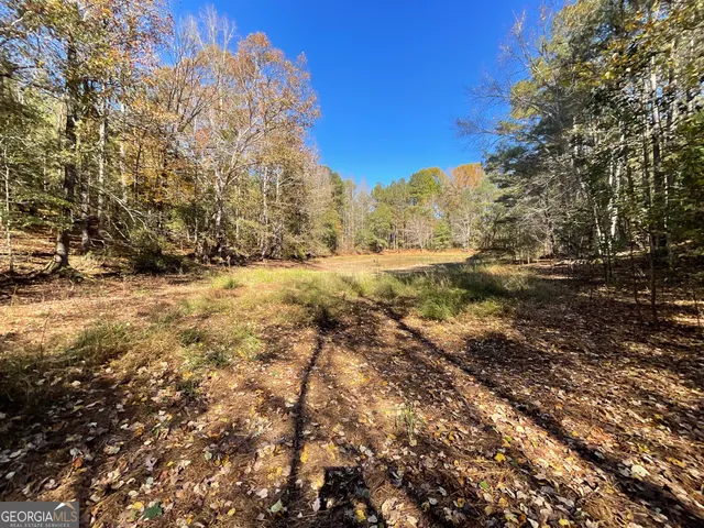 $949,000 | 501 Raleigh Road, Woodbury, GA 30293