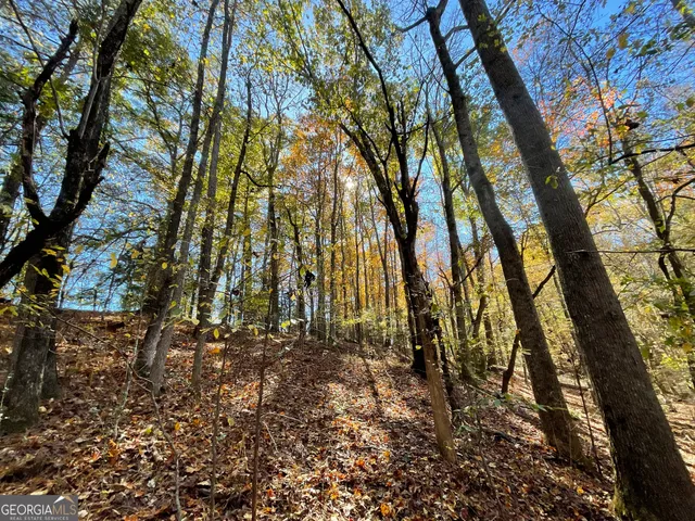 $949,000 | 501 Raleigh Road, Woodbury, GA 30293