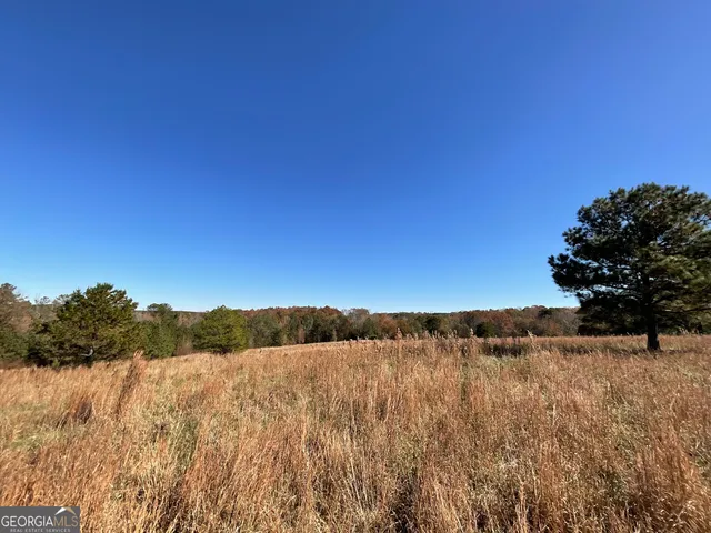 $949,000 | 501 Raleigh Road, Woodbury, GA 30293