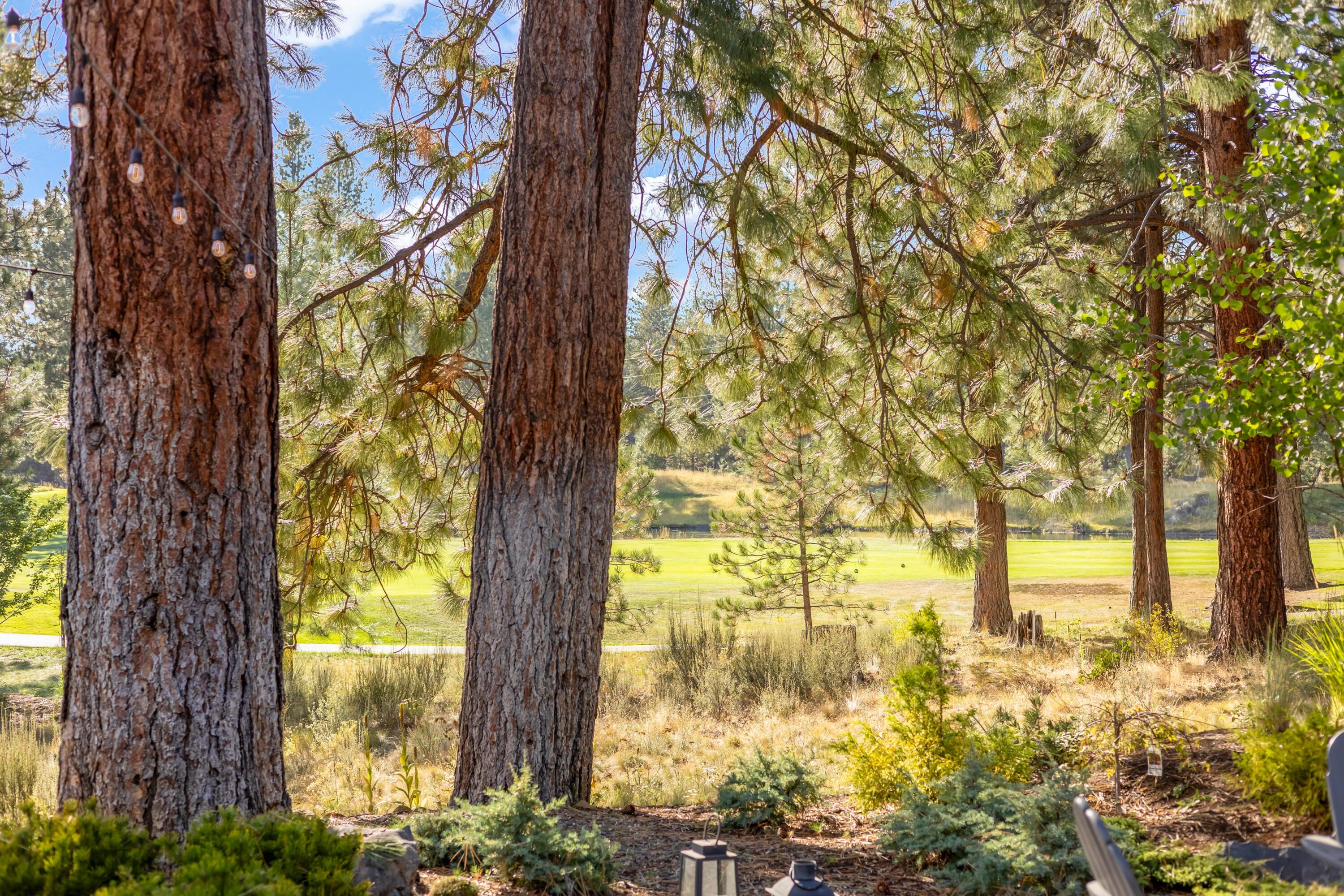 60755 Currant Way Bend, OR 97702 - Photo 4 of 52 Gallery Image 4