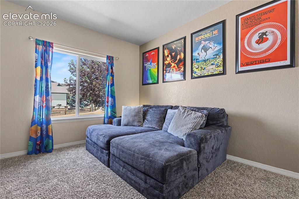6598 Alliance Loop Colorado Springs, CO 80925 - Photo 22 of 39