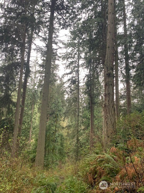 -xxx Hellman Road Clinton, WA 98236 - Photo 14 of 15