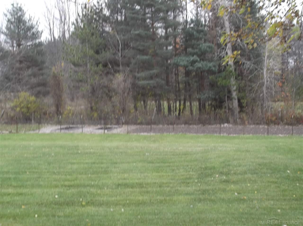 9934 Bryce Road Avoca, MI 48006 - Photo 5 of 12