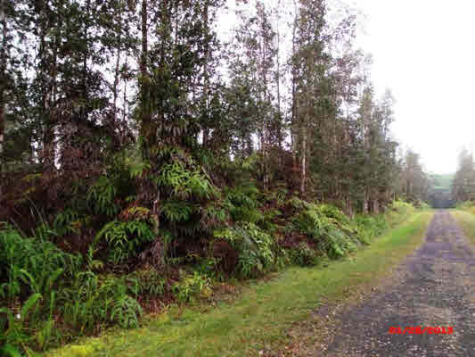 114 Ginger Road Pahoa, HI 96778 - Photo 1 of 2 Gallery Image 1