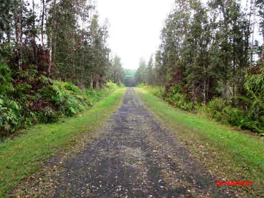 114 Ginger Road Pahoa, HI 96778 - Photo 2 of 2 Gallery Image 2