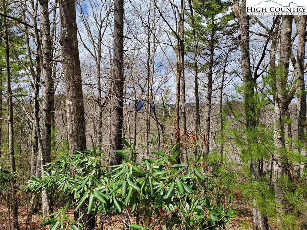 Lot 7 River Ridge Road Boone, NC 28607 - Photo 1 of 8 Gallery Image 1