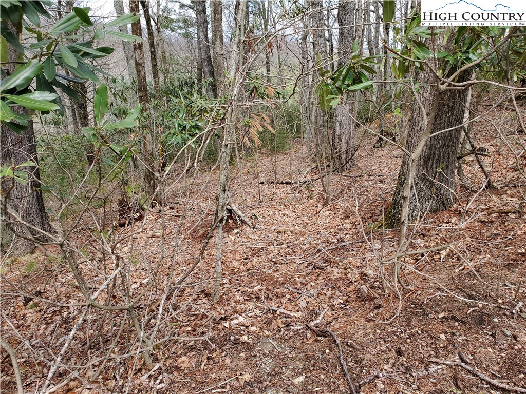 Lot 7 River Ridge Road Boone, NC 28607 - Photo 2 of 8 Gallery Image 2