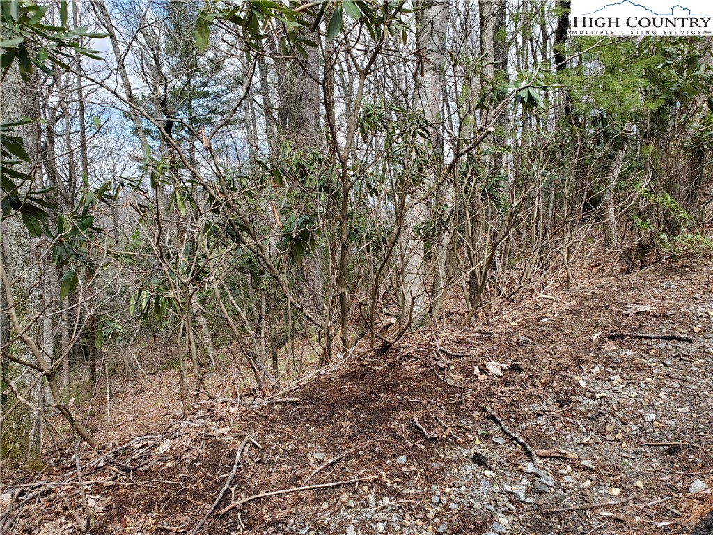 Lot 7 River Ridge Road Boone, NC 28607 - Photo 3 of 8 Gallery Image 3