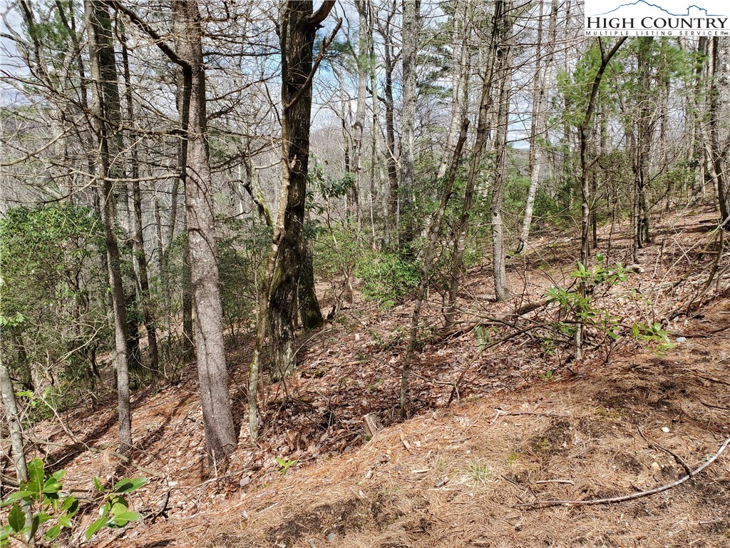 Lot 7 River Ridge Road Boone, NC 28607 - Photo 4 of 8 Gallery Image 4